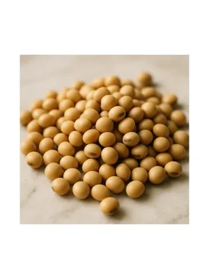 Soybean