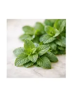 Spearmint
