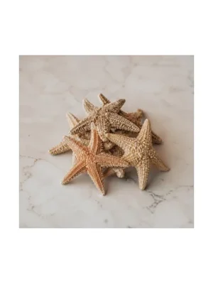 Starfish