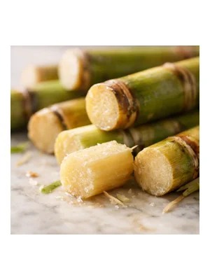 Sugar Cane