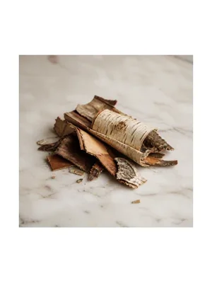 Sweet Birch