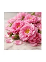 Taif Rose