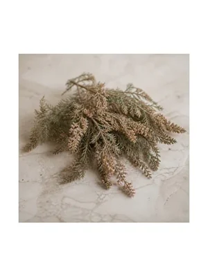 Tamarisk