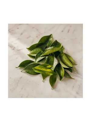 Tangerine Leaves