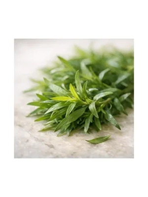 Tarragon