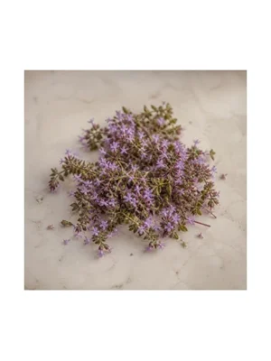 Thyme Blossom