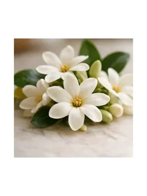 Tiare Flower