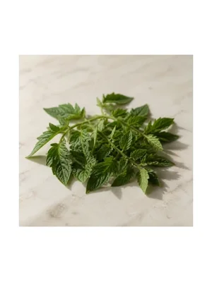 Tomato Leaf