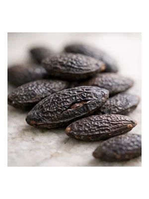 Tonka Bean
