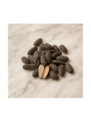 Tonka Bean