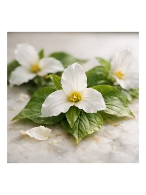 Trillium