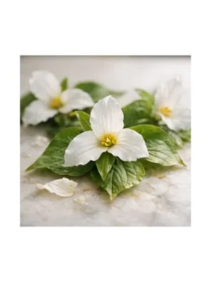 Trillium