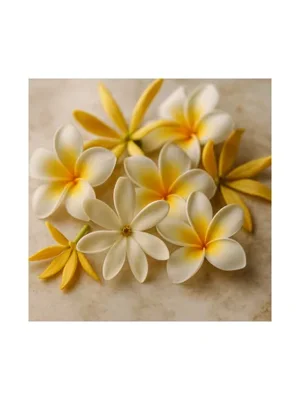 Tropical Flowers