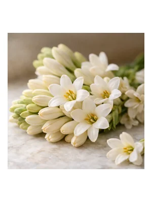Tuberose