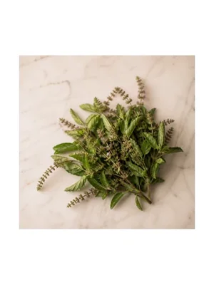 Tulsi