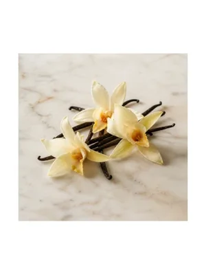 Vanilla Blossom