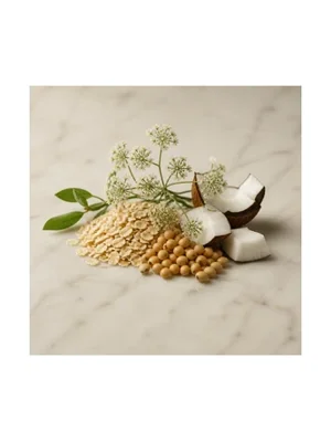 Vegetal Milk