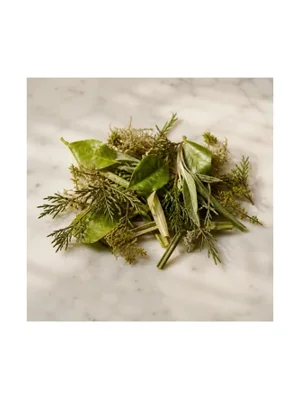 Vegetal Notes