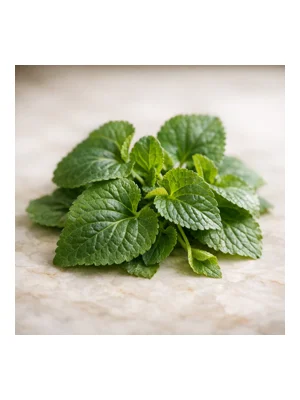 Violet Leaf