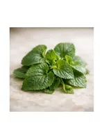 Violet Leaf