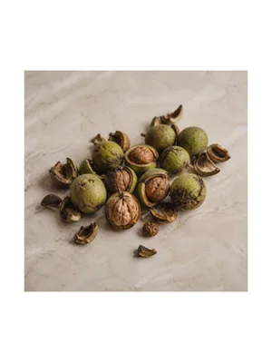 Walnut Milk
