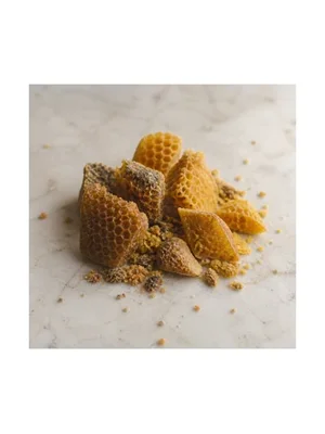 Western Honey Bee