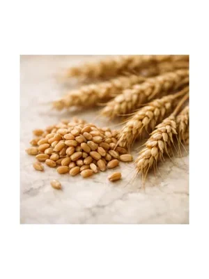 Wheat
