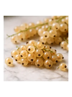 White Currant
