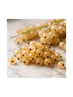 White Currant
