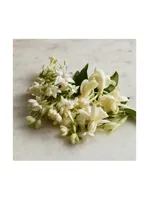 White Flowers