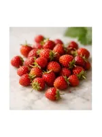 Wild Strawberry