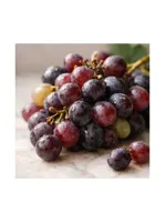 Wine Grape