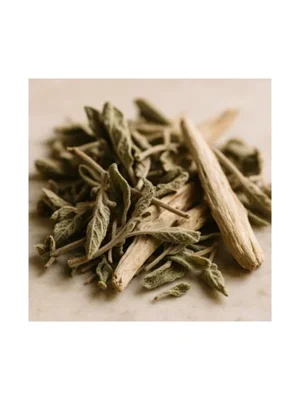 Wood Sage