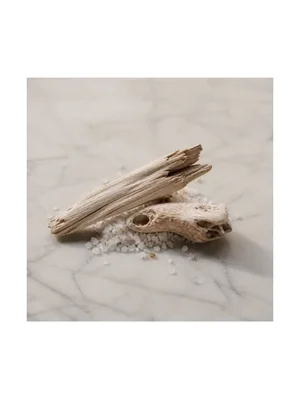 Wood Sage