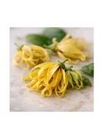 Ylang-Ylang