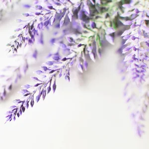 Créations Aromatiques