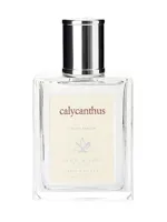 Calycanthus by Acca Kappa