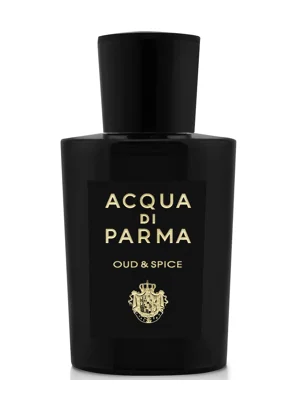 Signatures of the Sun Oud & Spice Eau de Parfum bottle