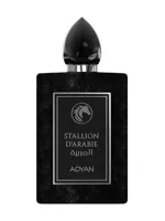 Stallion D'Arabie by Adyan by Anfar
