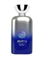 Magnetic Magma by Agarthi