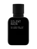 Silent Rain by Almost Human