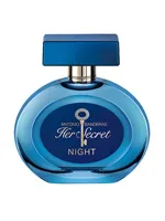 Her Secret Night by Antonio Banderas