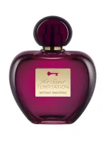 Her Secret Temptation by Antonio Banderas