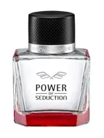 Power of Seduction by Antonio Banderas