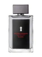 The Secret Game by Antonio Banderas