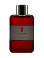 The Secret Temptation by Antonio Banderas
