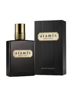 Impeccable by Aramis
