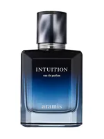 Intuition by Aramis