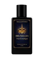 Bruxelles Nuit Écstatique by Ballotino