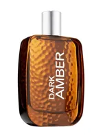 Dark Amber for Men by Bath & Body Works